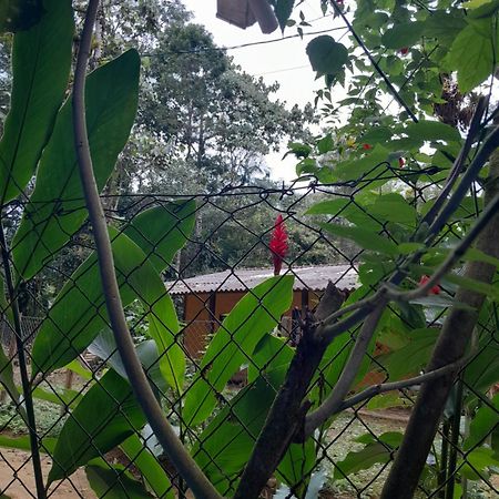 Sitio Das Bromelias Cachoeira Do Tombador Ubatuba Bagian luar foto