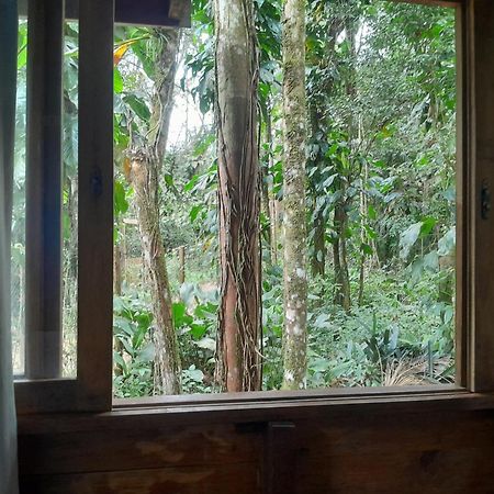 Sitio Das Bromelias Cachoeira Do Tombador Ubatuba Bagian luar foto