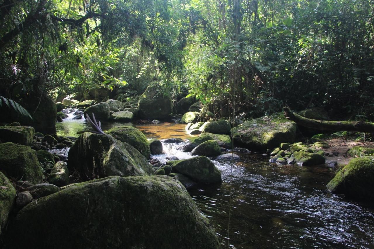 Sitio Das Bromelias Cachoeira Do Tombador Ubatuba Bagian luar foto